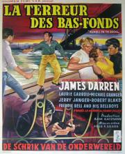 La Terreur Des Bas-fonds