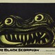 photo du film Le Scorpion noir