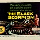 photo du film Le Scorpion noir