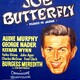 photo du film Joe Butterfly