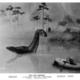 photo du film L'oasis des tempêtes