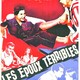 photo du film Les époux terribles