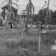 photo du film The Camp on Blood Island