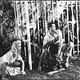 photo du film Femmes démon
