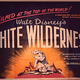 photo du film White Wilderness