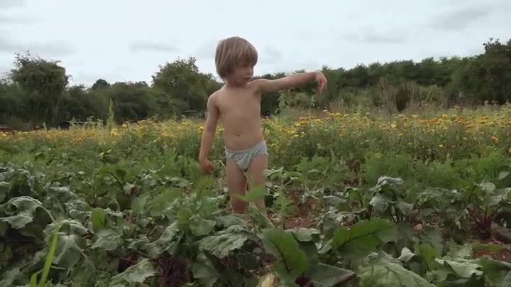 Extrait vidéo du film  Trait de vie