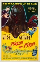 voir la fiche complète du film : Face of Fire