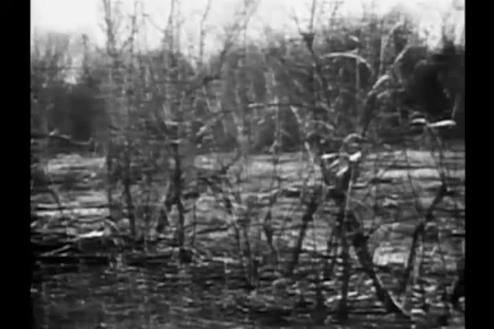 Extrait vidéo du film  The Giant Gila Monster