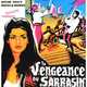 photo du film La vengeance du Sarrasin