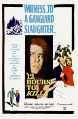 voir la fiche complète du film : Twelve Hours to Kill