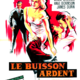 photo du film Le Buisson ardent