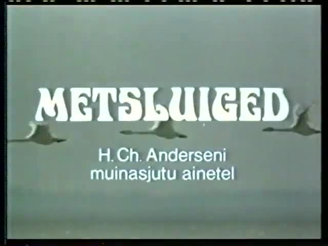 Extrait vidéo du film  Metsluiged