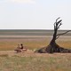 photo du film Le Souffle