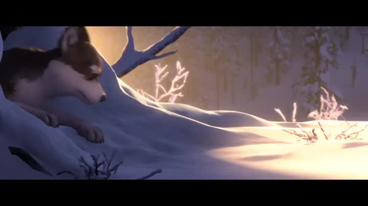 Extrait vidéo du film  Croc-Blanc