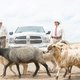 photo du film Comancheria