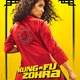 photo du film Kung Fu Zohra