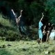 photo du film Wrong Way