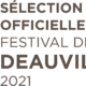 photo du film Un fils du sud
