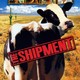 photo du film The Shipment