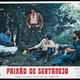 photo du film Paixão de Sertanejo