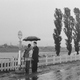 photo du film Maternité éternelle