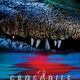 photo du film Crocodile 2 : Death Swamp