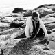 photo du film 3 jours à Quiberon