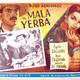 photo du film Mala yerba
