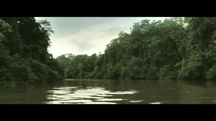 Extrait vidéo du film  La Vie pure