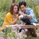 photo du film Mes autres vies de chien