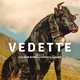 photo du film Vedette