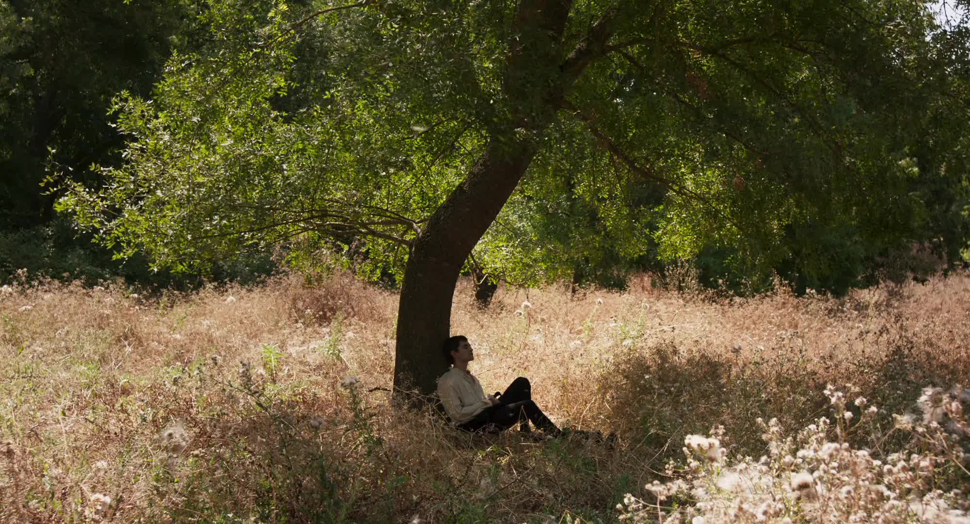 Extrait vidéo du film  L Enfant