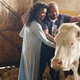 photo du film Les Folies fermières