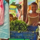 photo du film Maître Contout, mémoire de la Guyane