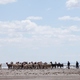 photo du film Utama : la terre oubliée