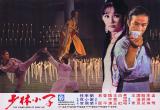Young Hero Of Shaolin