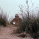 photo du film Trasgredire