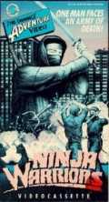 Ninja Warriors