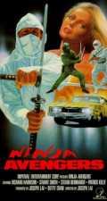 voir la fiche complète du film : Ninja Avengers
