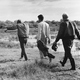 photo du film Le Garçon dans l'arbre