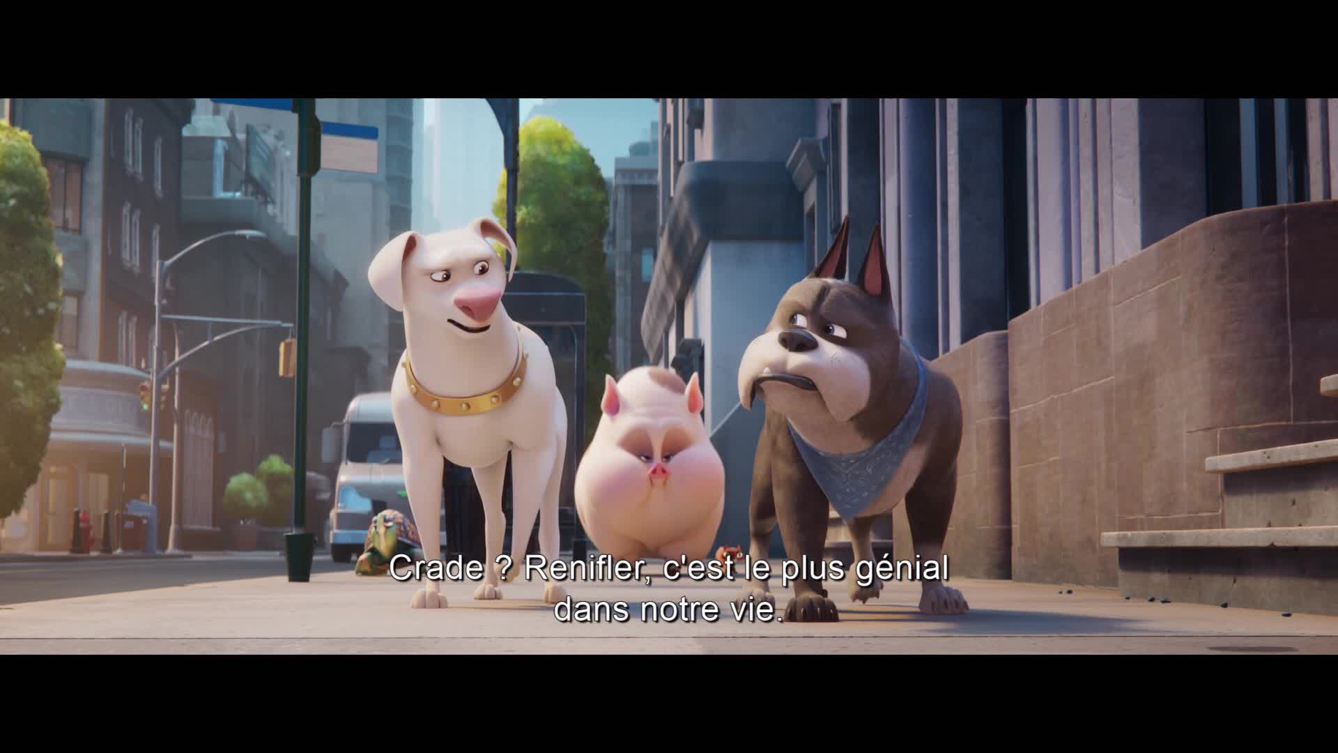Un extrait du film  Krypto et les super-animaux