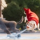 photo du film Krypto et les super-animaux