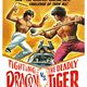 photo du film The Fighting Dragon Vs. Deadly Tiger