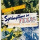 photo du film Springtime In Texas