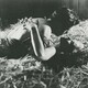 photo du film La Fille de l'auto-stop