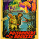 photo du film Prisonniers de la brousse