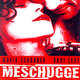 photo du film Meschugge