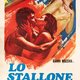 photo du film L'étalon