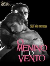 O Menino E O Vento