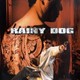 photo du film Rainy Dog